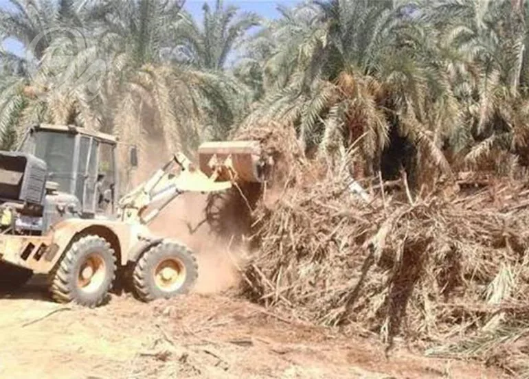 بغداد تفقد رئتها الخضراء وتجريف البساتين يوسع الخرسانة على حساب الزراعة!
