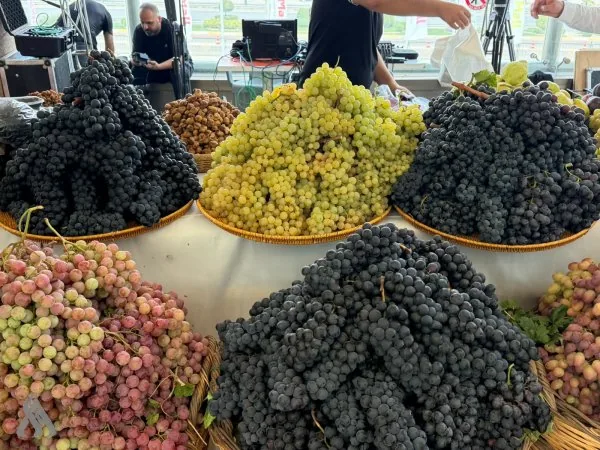 مهرجان العنب والعسل في دهوك.. 80 ألف طن إنتاج العنب و300 طن من العسل